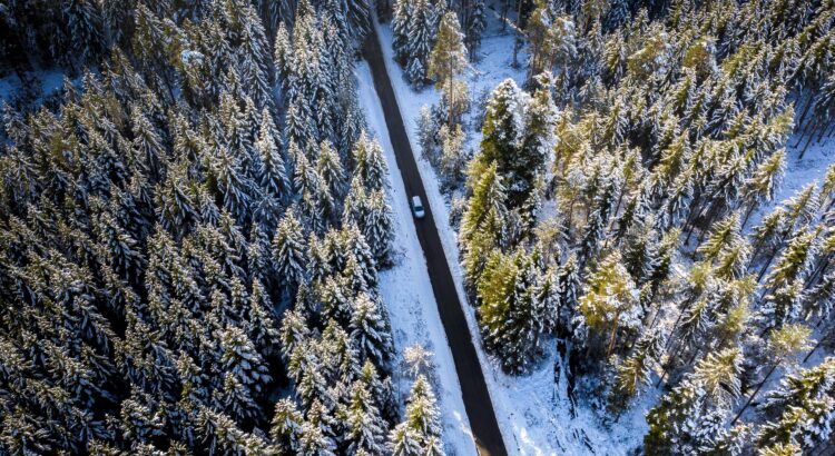 neumáticos de invierno deportivos