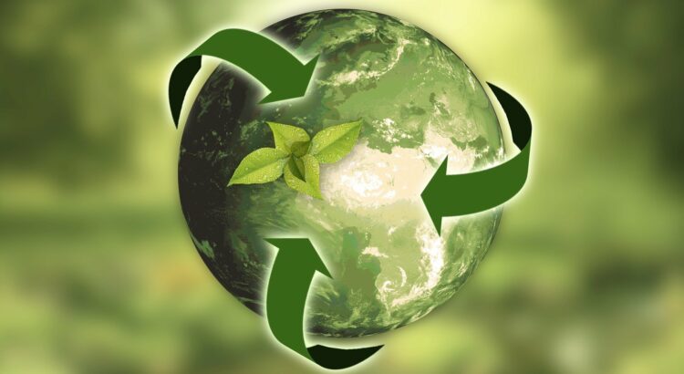 Comparativa de neumáticos ecológicos