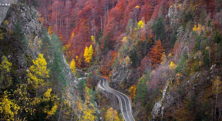 rutas en otoño