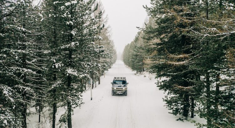comparativa de neumáticos de invierno para 4x4
