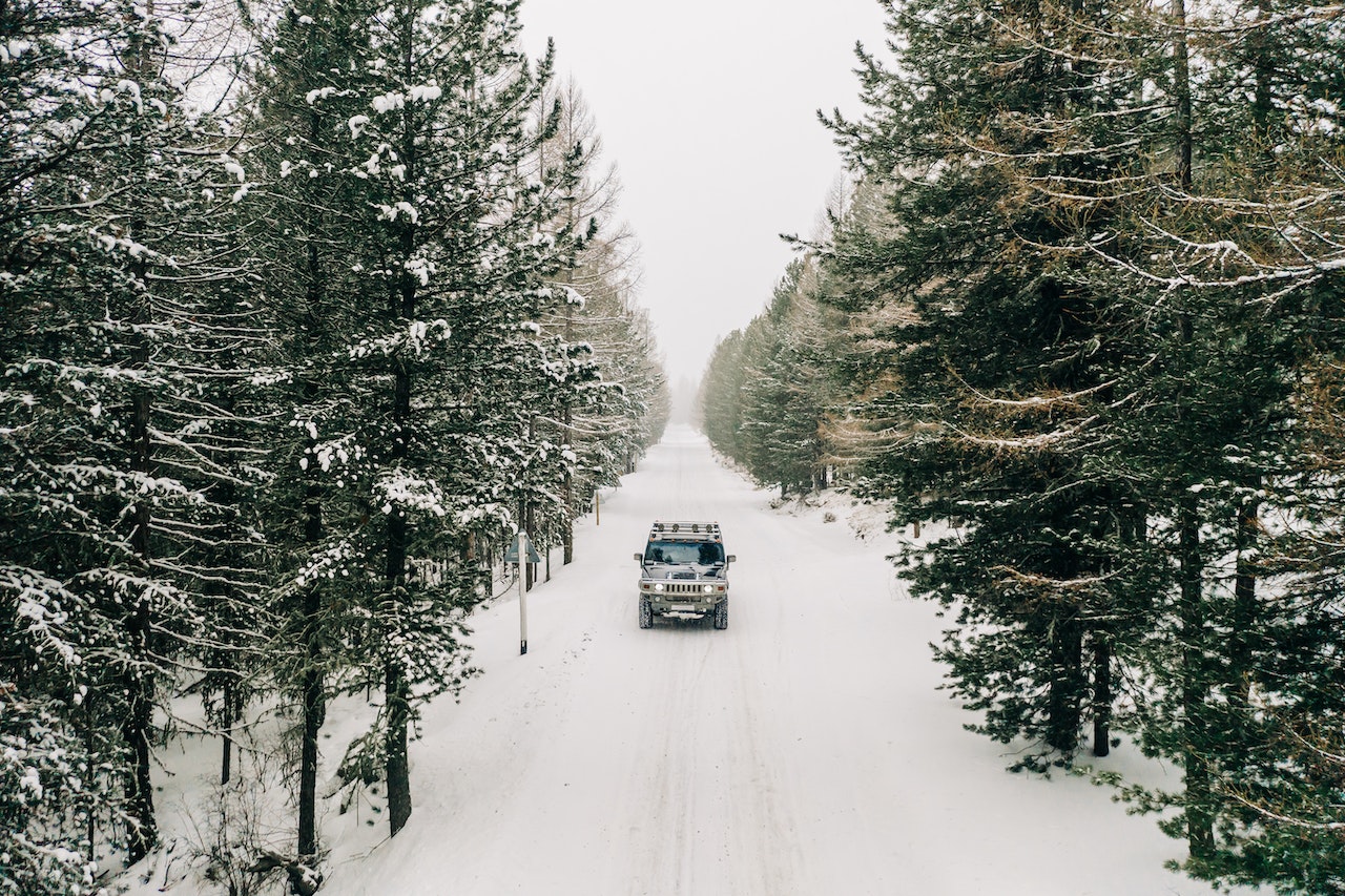 comparativa de neumáticos de invierno para 4x4